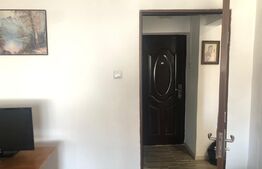 Garsoniera de 32 mp, balcon, renovata, in zona Cetate