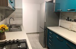 Apartament de 2 camere, proaspat renovat, 55mp, zona Hotel Cetate