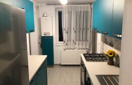 Apartament de 2 camere, proaspat renovat, 55mp, zona Hotel Cetate