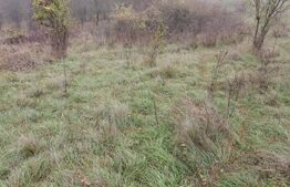 Teren intravilan 15 parcele 8300mp, Micesti