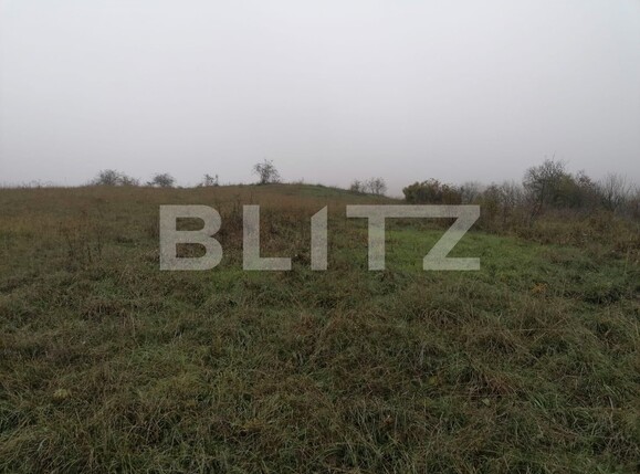 Teren de vânzare Exterior Nord - 101036TV | BLITZ Alba Iulia | Poza3