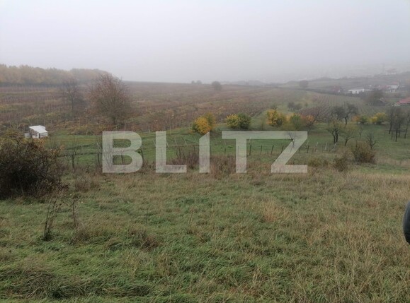 Teren de vânzare Exterior Nord - 101036TV | BLITZ Alba Iulia | Poza4