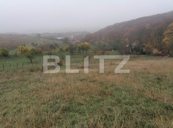 Teren de vânzare Exterior Nord - 101036TV | BLITZ Alba Iulia | Poza1