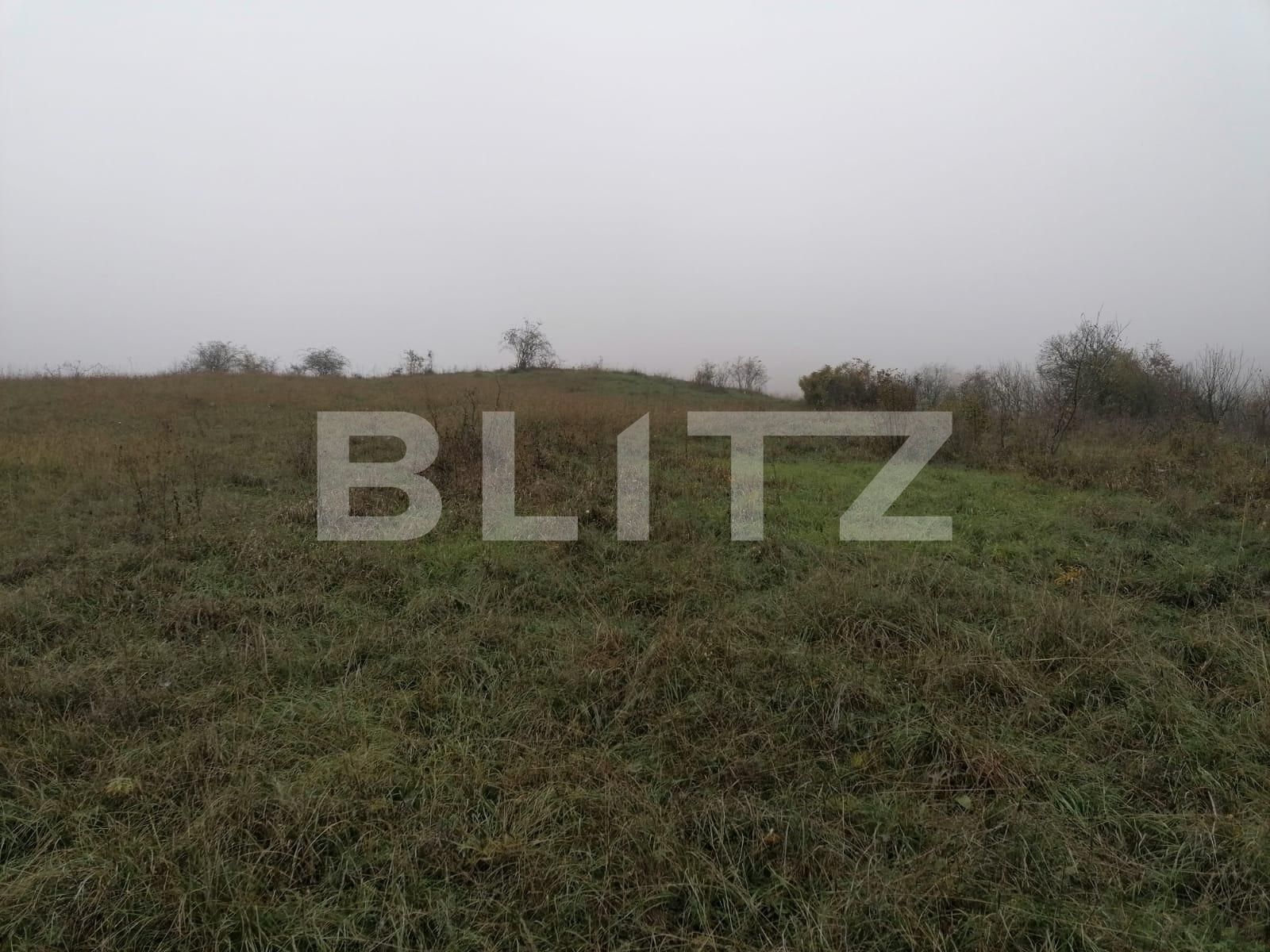 Teren de vânzare Exterior Nord - 101036TV | BLITZ Alba Iulia | Poza3