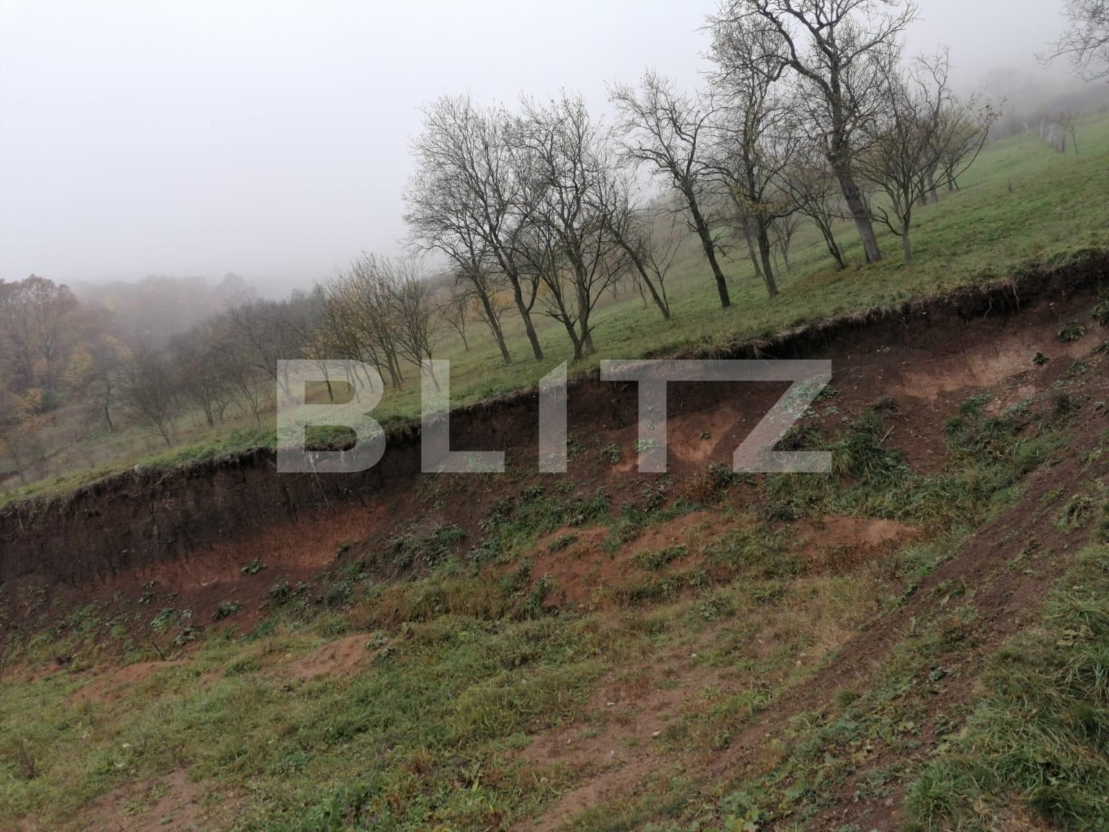 Teren de vânzare Exterior Nord - 101036TV | BLITZ Alba Iulia | Poza2