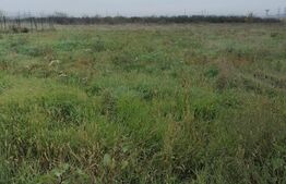 Teren intravilan 424mp, 15m deschidere si 28 adancime cu toate utilitaile