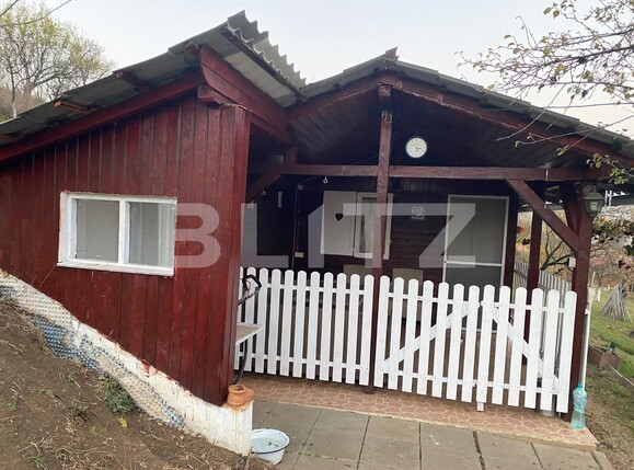 Casa de vânzare 4 camere Șeușa - 101148CV | BLITZ Alba Iulia | Poza19