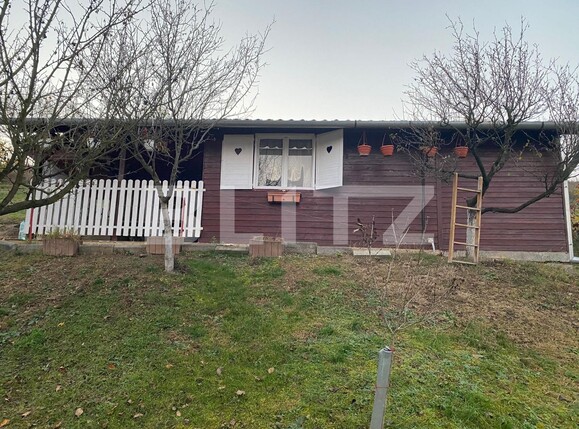 Casa de vânzare 4 camere Șeușa - 101148CV | BLITZ Alba Iulia | Poza13