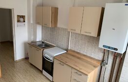 Apartament cu 2 camere - Zona cetate