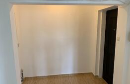 Apartament cu 2 camere - Zona cetate