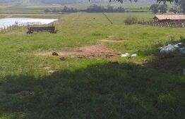 Teren partial intravilan 14800 mp, situat in loc. Paraul lui Mihai