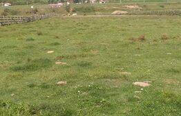 Teren partial intravilan 14800 mp, situat in loc. Paraul lui Mihai