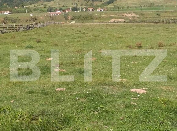 Teren de vânzare Pârău lui Mihai - 101263TV | BLITZ Alba Iulia | Poza3