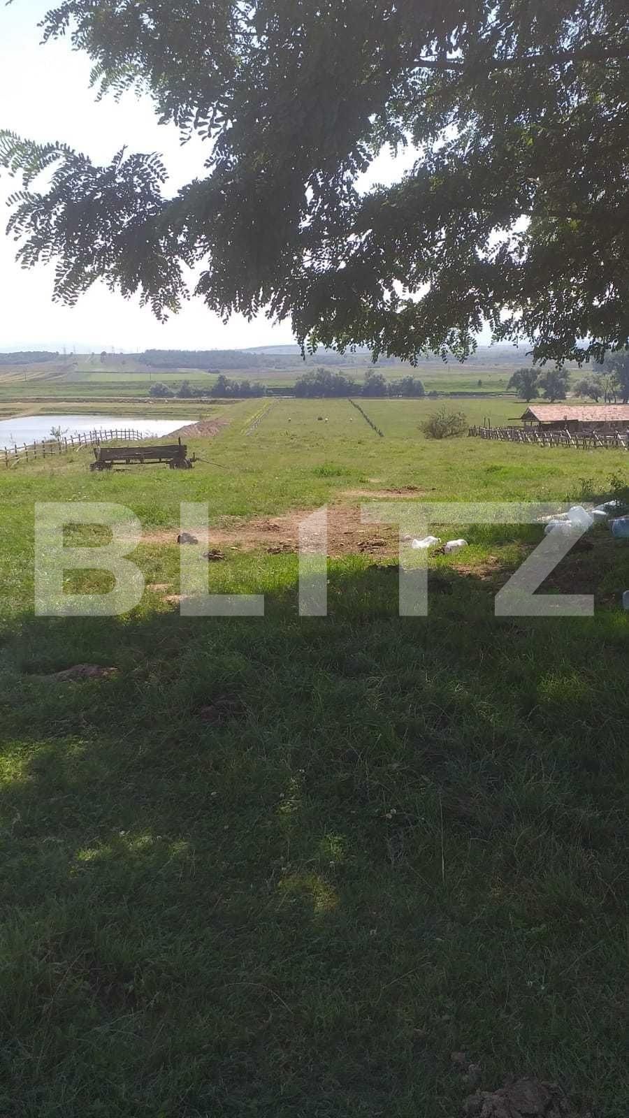 Teren de vânzare Pârău lui Mihai - 101263TV | BLITZ Alba Iulia | Poza4