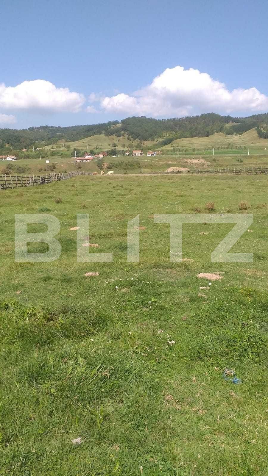 Teren de vânzare Pârău lui Mihai - 101263TV | BLITZ Alba Iulia | Poza3