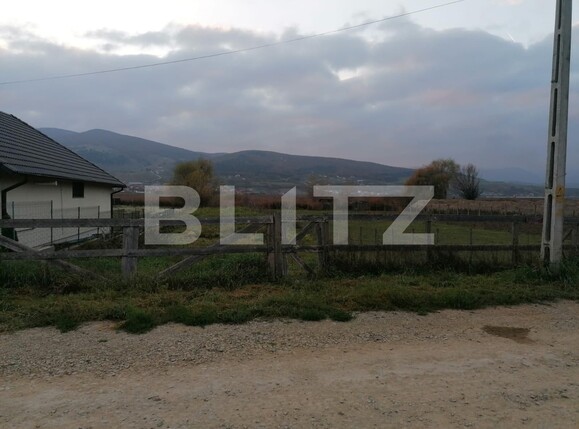 Teren de vânzare Micești - 101318TV | BLITZ Alba Iulia | Poza1