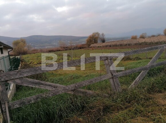 Teren de vânzare Micești - 101318TV | BLITZ Alba Iulia | Poza2
