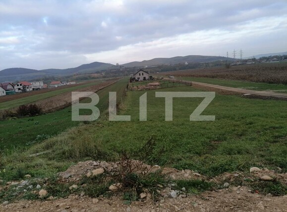 Teren de vânzare Micești - 101362TV | BLITZ Alba Iulia | Poza2