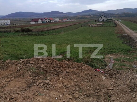 Teren de vânzare Micești - 101362TV | BLITZ Alba Iulia | Poza1