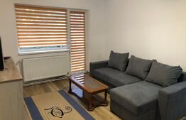 Apartament 2 camere, proaspat renovat, balcon, zona Cetate