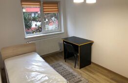 Apartament 2 camere, proaspat renovat, balcon, zona Cetate