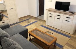 Apartament 2 camere, proaspat renovat, balcon, zona Cetate