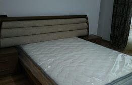 Apartament 4 camere, 2 bai, 120 mp, terasa 150 mp, Grecia