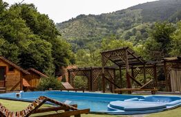 Complex turistic, 60 de locuri disponibile, ciubar, piscina, jacuzzi, Sebes