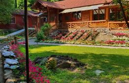 Complex turistic, 60 de locuri disponibile, ciubar, piscina, jacuzzi, Sebes