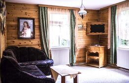 Complex turistic, 60 de locuri disponibile, ciubar, piscina, jacuzzi, Sebes