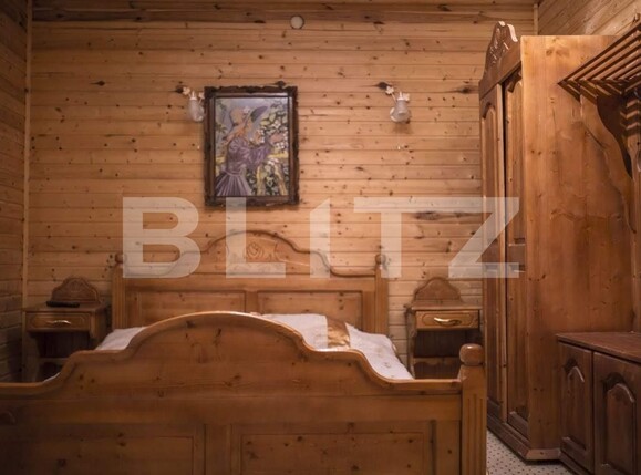 Casa de vânzare 25 camere Sebeș - 101542CV | BLITZ Alba Iulia | Poza5