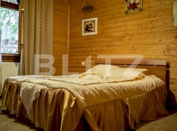 Casa de vânzare 25 camere Sebeș - 101542CV | BLITZ Alba Iulia | Poza3