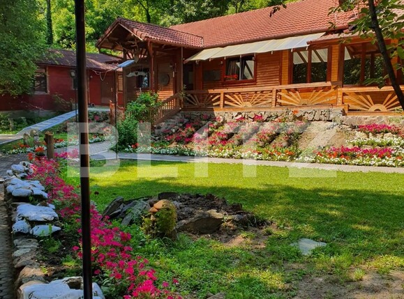 Casa de vânzare 25 camere Sebeș - 101542CV | BLITZ Alba Iulia | Poza1