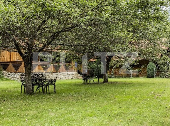 Casa de vânzare 25 camere Sebeș - 101542CV | BLITZ Alba Iulia | Poza9