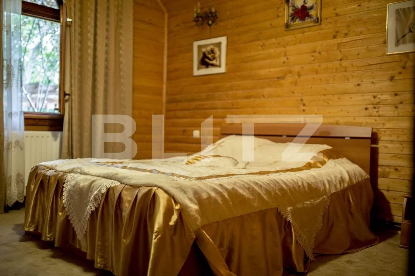 Casa de vânzare 25 camere Sebeș - 101542CV | BLITZ Alba Iulia | Poza3