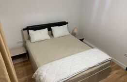Apartament 2 camere, 50 mp, zona Cetate