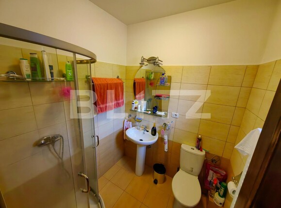 Casa de vânzare 4 camere Cetate - 101702CV | BLITZ Alba Iulia | Poza16