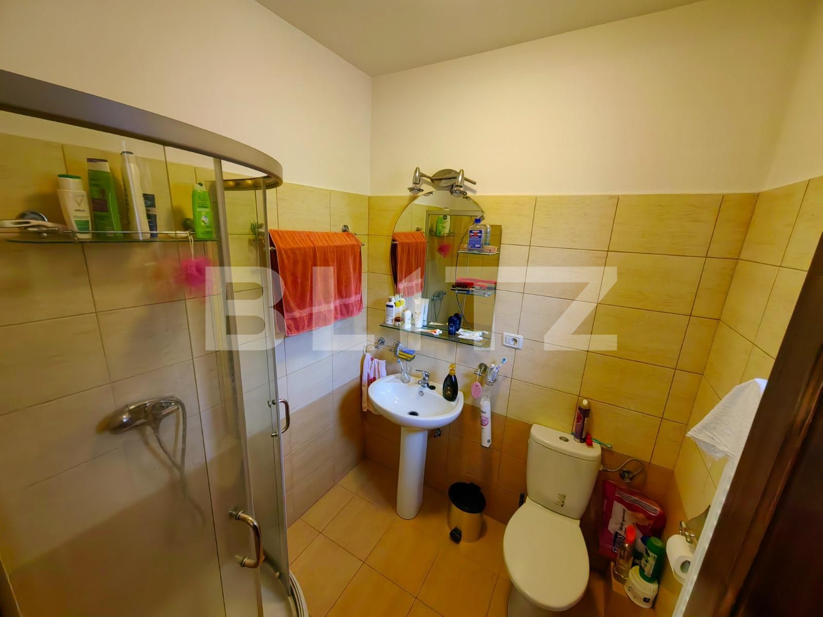 Casa de vânzare 4 camere Cetate - 101702CV | BLITZ Alba Iulia | Poza16