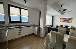 Penthouse 82mp, terasa 30mp, Cetate