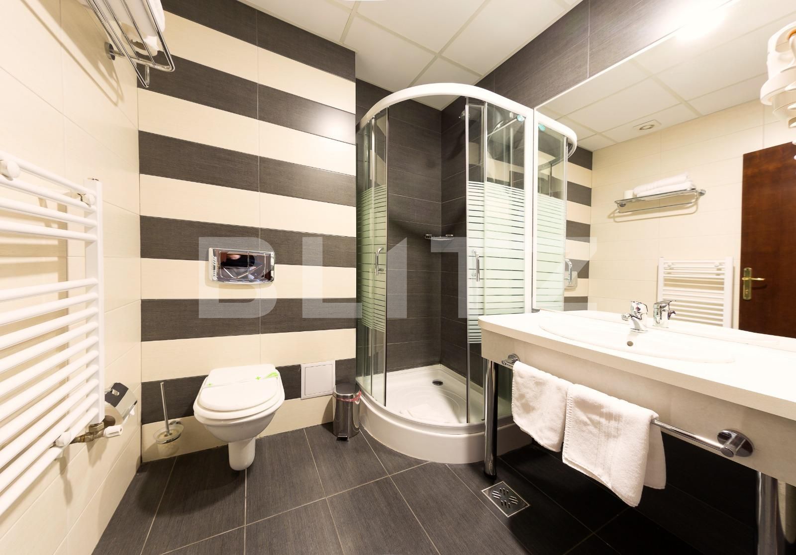 Spațiu comercial de vânzare Central - 101784SVC | BLITZ Alba Iulia | Poza19