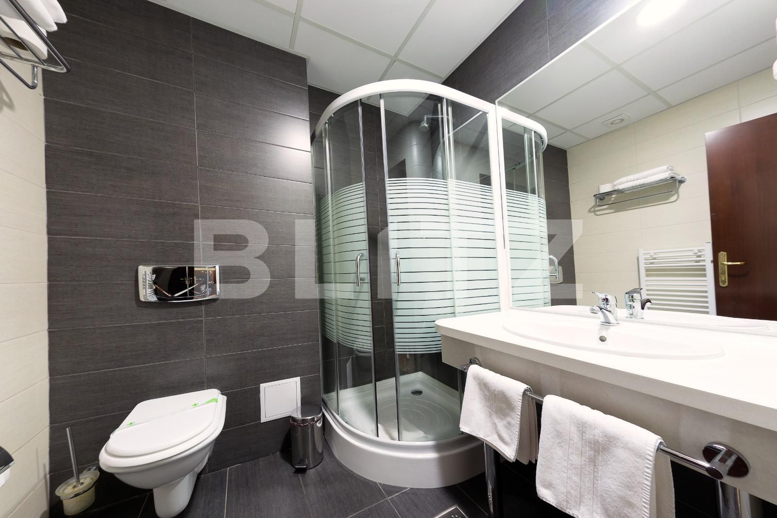 Spațiu comercial de vânzare Central - 101784SVC | BLITZ Alba Iulia | Poza16