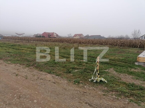 Teren de vânzare Micești - 101831TV | BLITZ Alba Iulia | Poza3