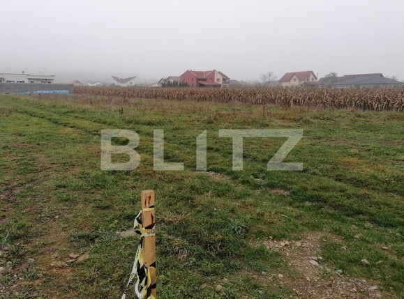 Teren de vânzare Micești - 101831TV | BLITZ Alba Iulia | Poza2