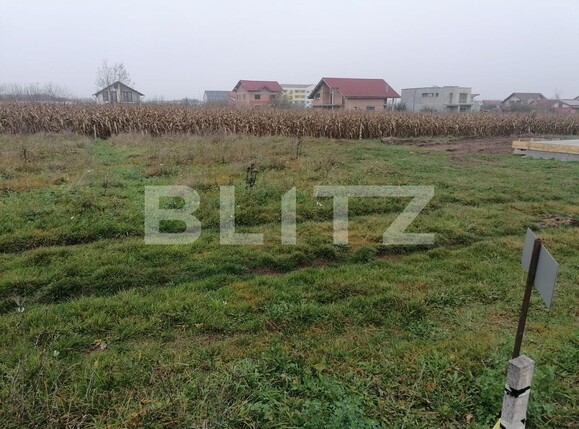 Teren de vânzare Micești - 101831TV | BLITZ Alba Iulia | Poza1