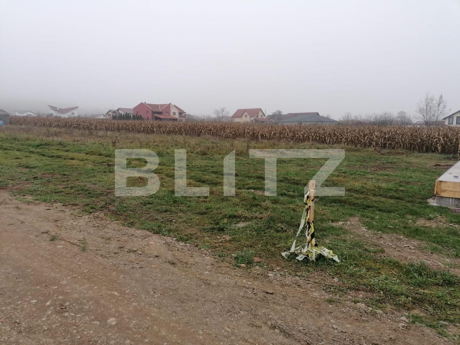Teren de vânzare Micești - 101831TV | BLITZ Alba Iulia | Poza3