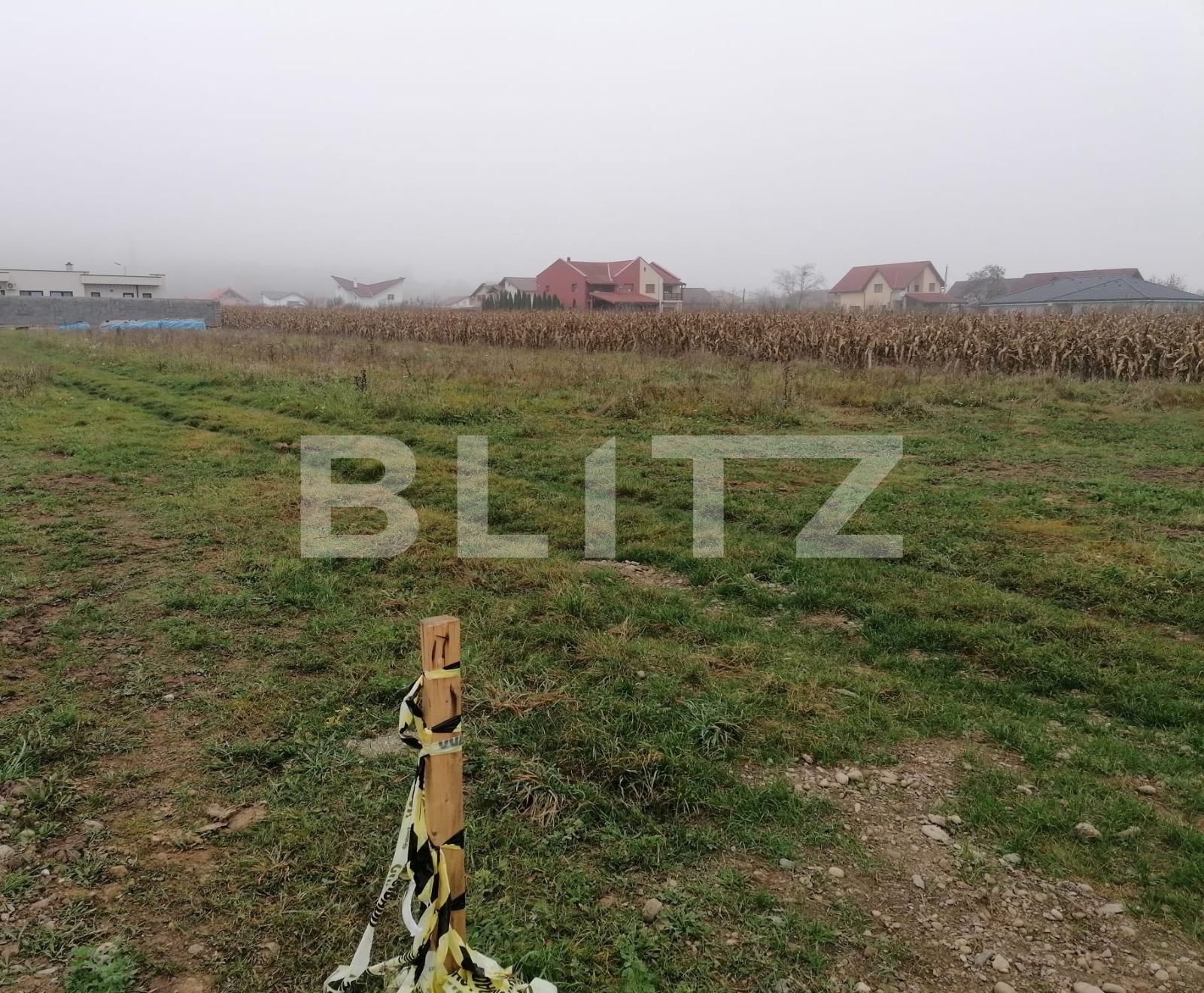 Teren de vânzare Micești - 101831TV | BLITZ Alba Iulia | Poza2