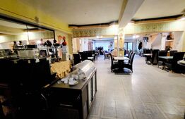 Afacere la cheie! Pensiune de 2500 mp, 19 camere, 2 apartamente, Ampoi 3