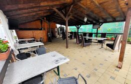 Afacere la cheie! Pensiune de 2500 mp, 19 camere, 2 apartamente, Ampoi 3