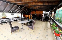 Afacere la cheie! Pensiune de 2500 mp, 19 camere, 2 apartamente, Ampoi 3