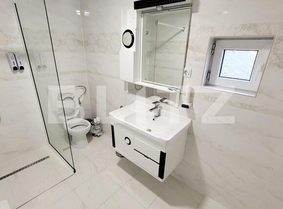 Spațiu comercial de închiriat Ampoi 3 - 101875SIC | BLITZ Alba Iulia | Poza3